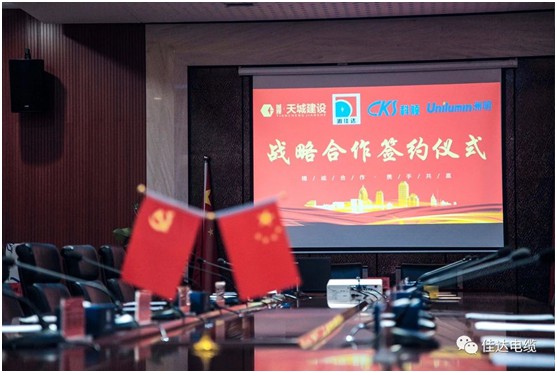 向日葵网站电缆有限公司,向日葵网站电缆,湖南向日葵网站，